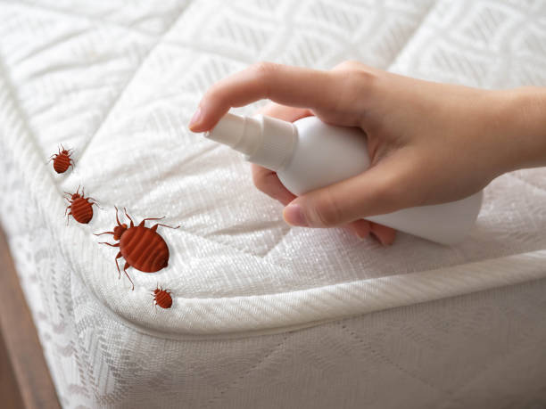 Real Estate Pest Inspections in Adrian, MI